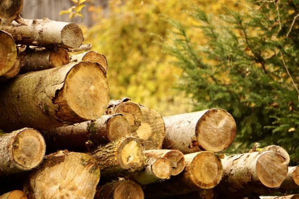 Wood Pile Removal in Saint Charles