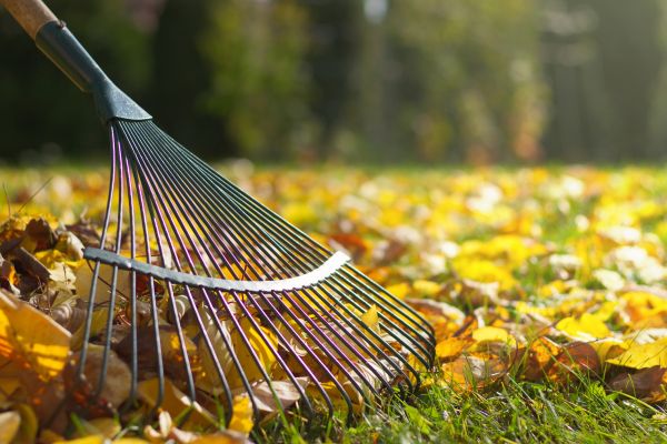 Leaf Raking Service in Saint Charles