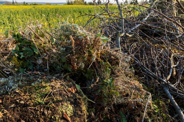 Brush Disposal in Saint Charles