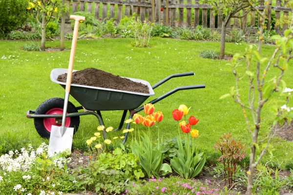 Spring Yard Cleanup in Saint Charles