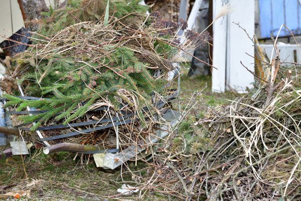 Yard Waste Removal Service in Saint Charles