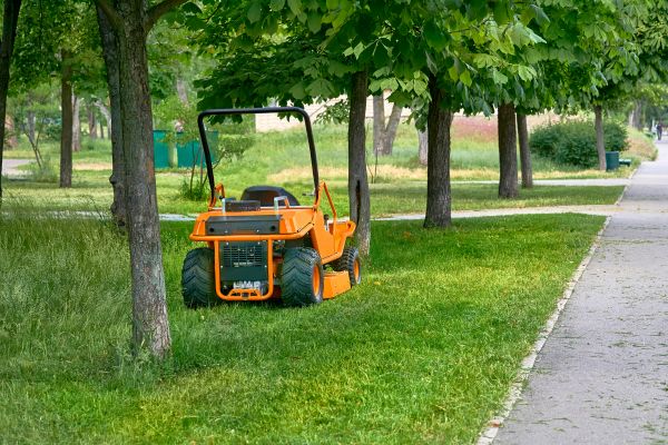 Landscaping Cleanup Service in Saint Charles