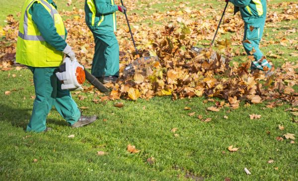 Leaf Maintenance in Saint Charles
