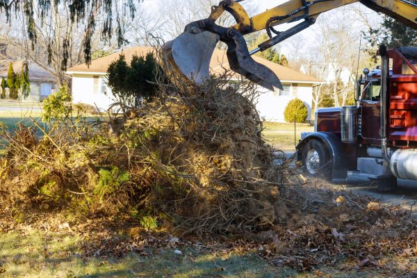 Storm Debris Removal in Saint Charles