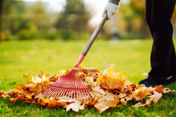 Ditch Leaf Removal in Saint Charles