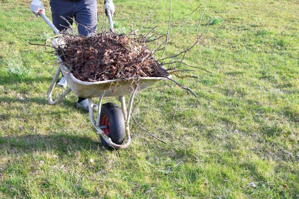 Yard Brush Removal in Saint Charles