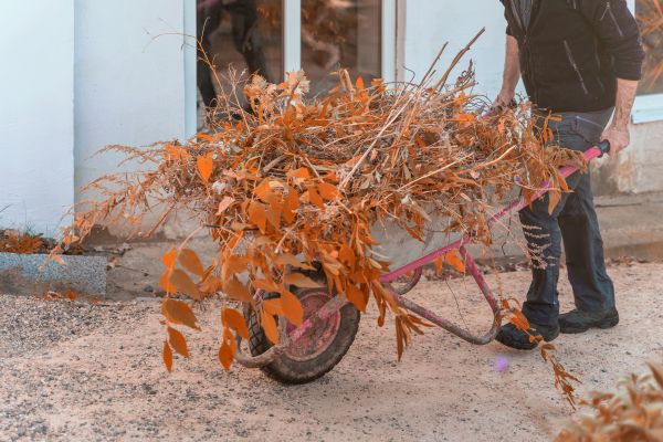 Cost of Lawn Debris Cleanup in Saint Charles