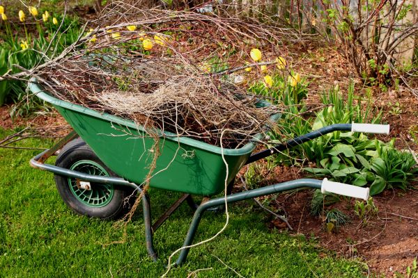 Lawn Waste Removal in Saint Charles