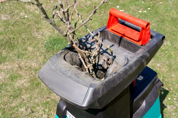 Cost of Brush Cleanup Service in Saint Charles