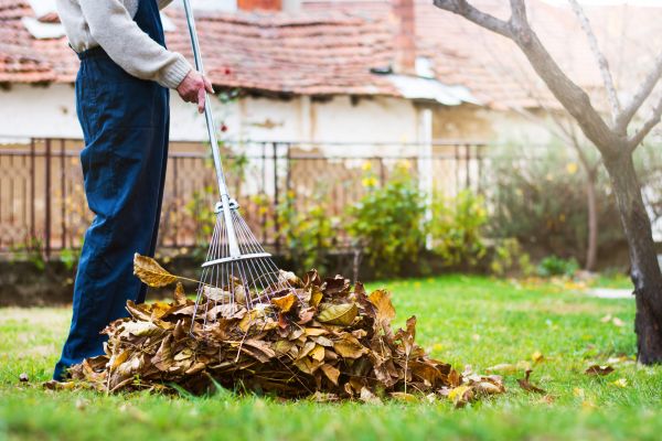 Fall Yard Cleanup Service in Saint Charles