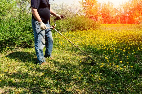 Yard Clearing Service in Saint Charles