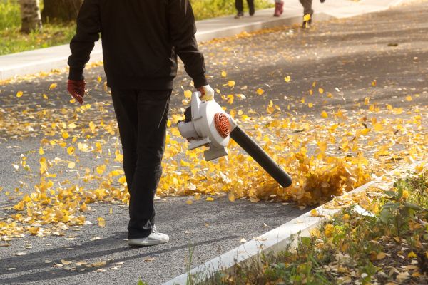 Commercial Leaf Removal in Saint Charles
