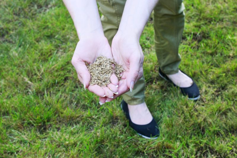 Seasonal Lawn Preparation